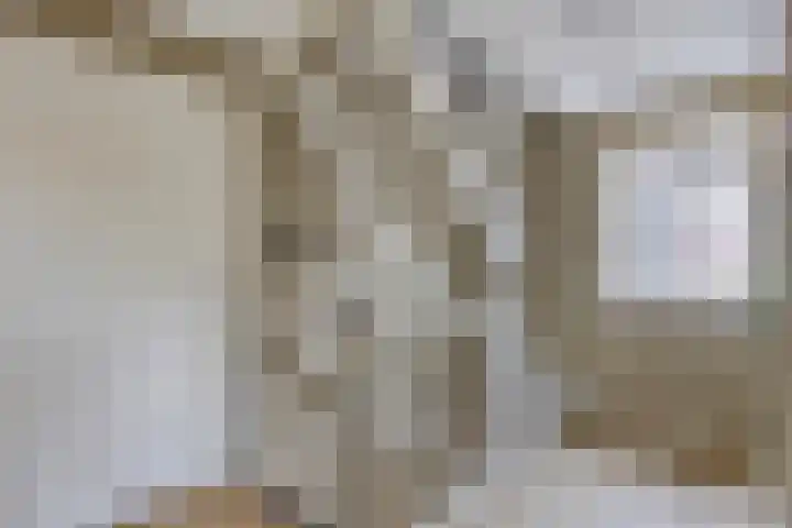 Heer de Heuschweg 121 Mierlo thumbnail 33