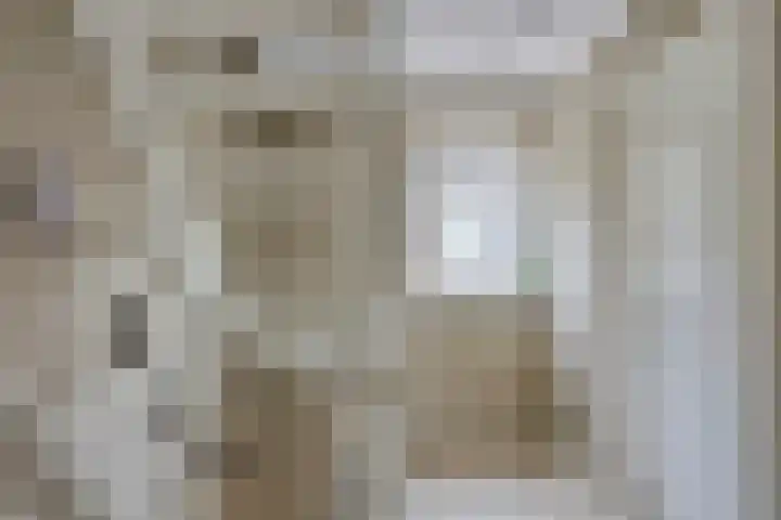 Heer de Heuschweg 121 Mierlo thumbnail 34