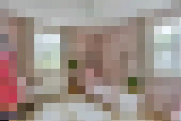 Heer de Heuschweg 121 Mierlo thumbnail 38