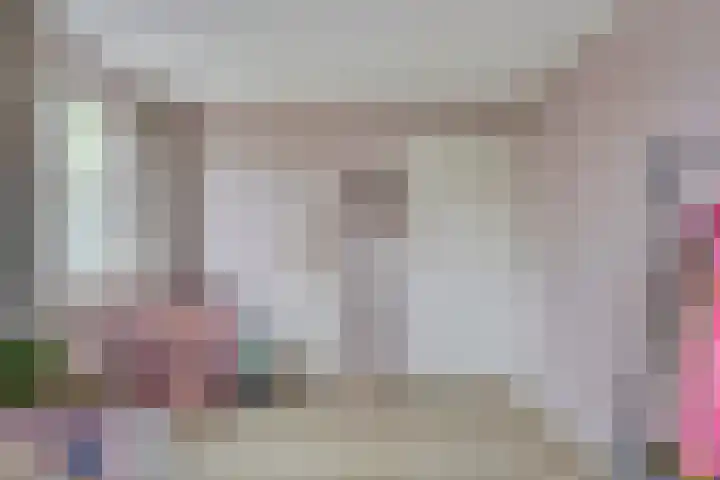 Heer de Heuschweg 121 Mierlo thumbnail 39