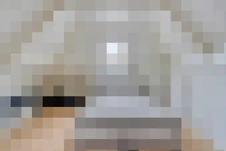 Heer de Heuschweg 121 Mierlo thumbnail 46