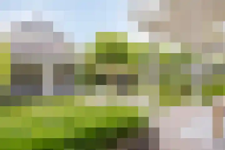 Heer de Heuschweg 121 Mierlo thumbnail 48