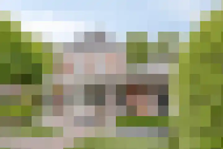 Heer de Heuschweg 121 Mierlo thumbnail 5