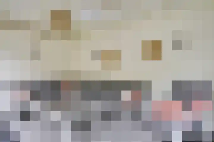 Heer de Heuschweg 121 Mierlo thumbnail 51