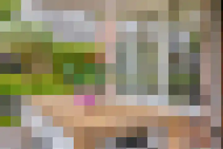 Heer de Heuschweg 121 Mierlo thumbnail 54
