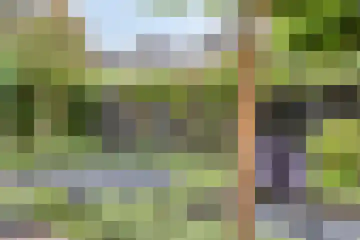 Heer de Heuschweg 121 Mierlo thumbnail 55