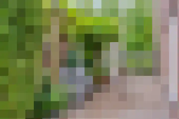Heer de Heuschweg 121 Mierlo thumbnail 56