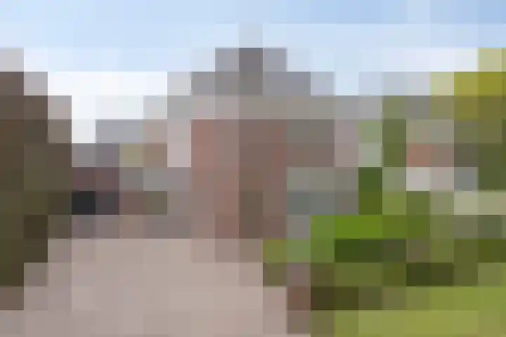 Heer de Heuschweg 121 Mierlo thumbnail 57