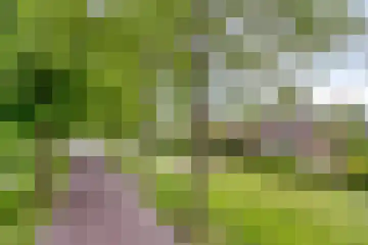Heer de Heuschweg 121 Mierlo thumbnail 6