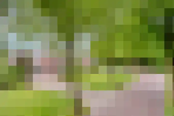 Heer de Heuschweg 121 Mierlo thumbnail 61