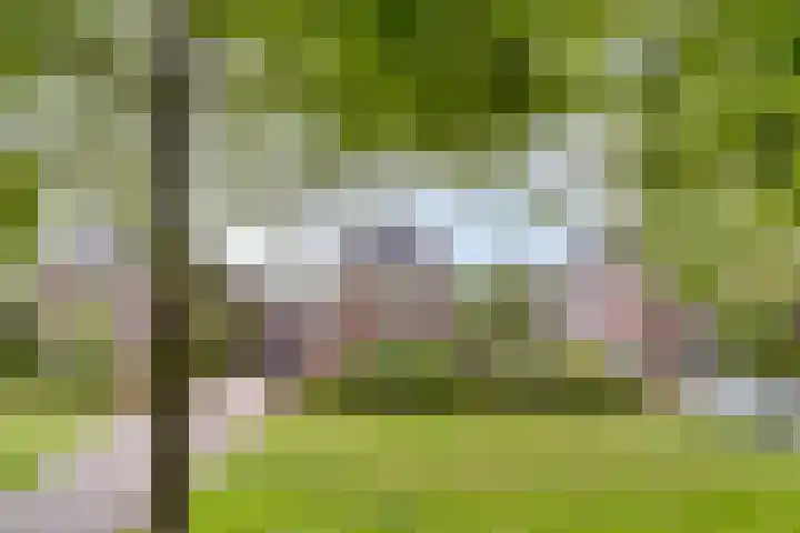 Heer de Heuschweg 121 Mierlo thumbnail 62