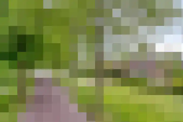 Heer de Heuschweg 121 Mierlo thumbnail 63