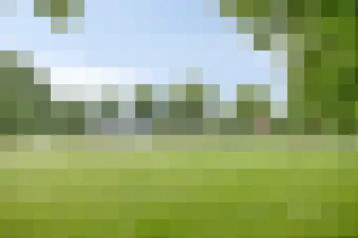 Heer de Heuschweg 121 Mierlo thumbnail 64
