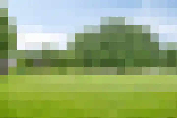 Heer de Heuschweg 121 Mierlo thumbnail 65