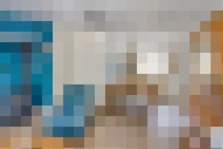 Heer de Swaeffstraat 3 Mierlo thumbnail 13