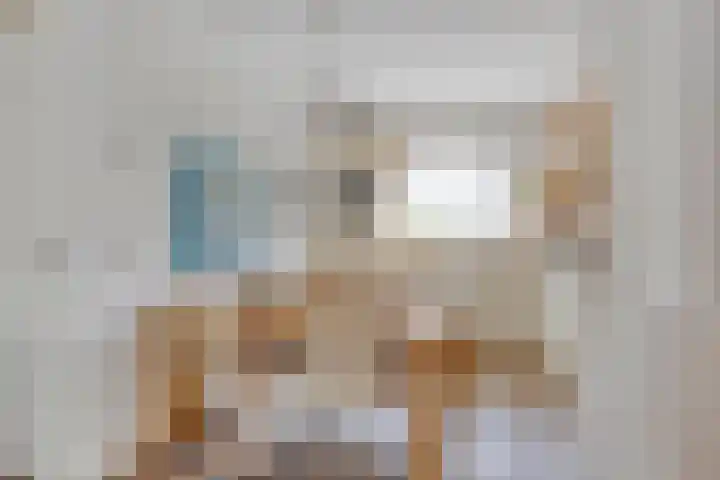 Heer de Swaeffstraat 3 Mierlo thumbnail 14