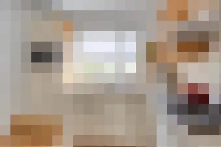 Heer de Swaeffstraat 3 Mierlo thumbnail 15
