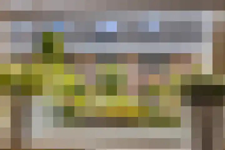 Heer de Swaeffstraat 3 Mierlo thumbnail 17