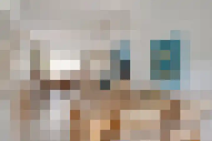Heer de Swaeffstraat 3 Mierlo thumbnail 18