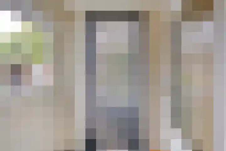 Heer de Swaeffstraat 3 Mierlo thumbnail 19