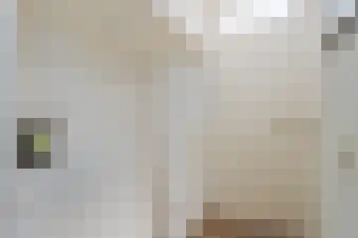 Heer de Swaeffstraat 3 Mierlo thumbnail 20