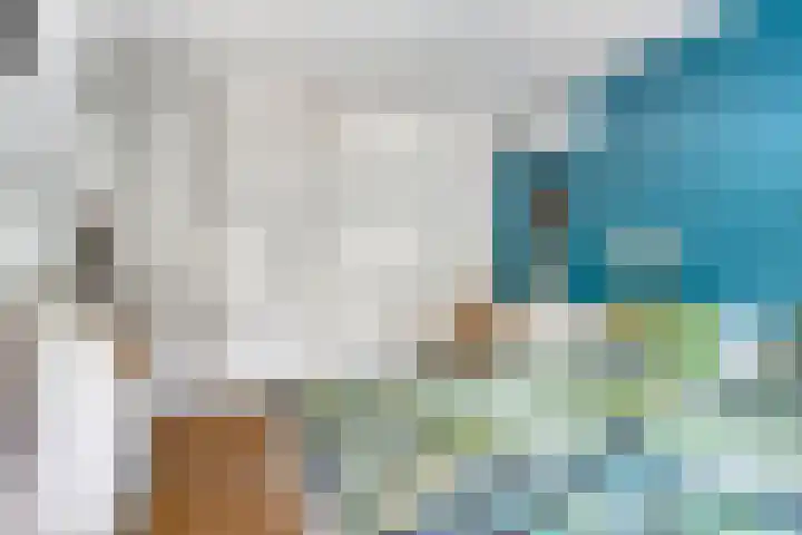Heer de Swaeffstraat 3 Mierlo thumbnail 22
