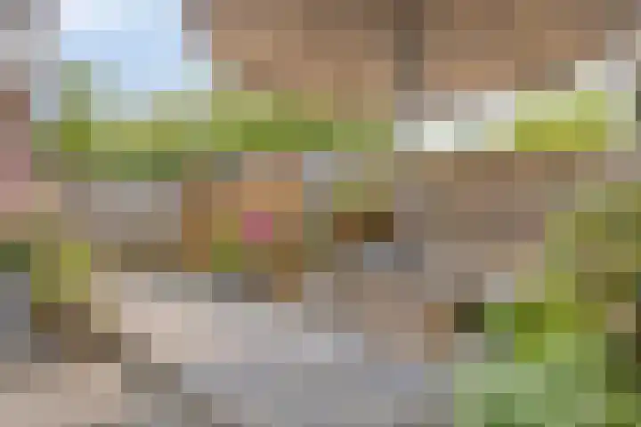 Heer de Swaeffstraat 3 Mierlo thumbnail 30