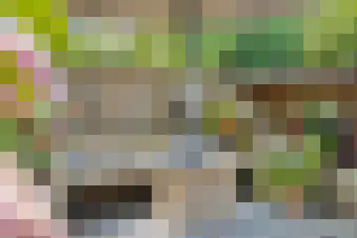 Heer de Swaeffstraat 3 Mierlo thumbnail 31