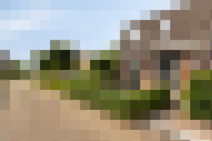 Heer de Swaeffstraat 3 Mierlo thumbnail 33