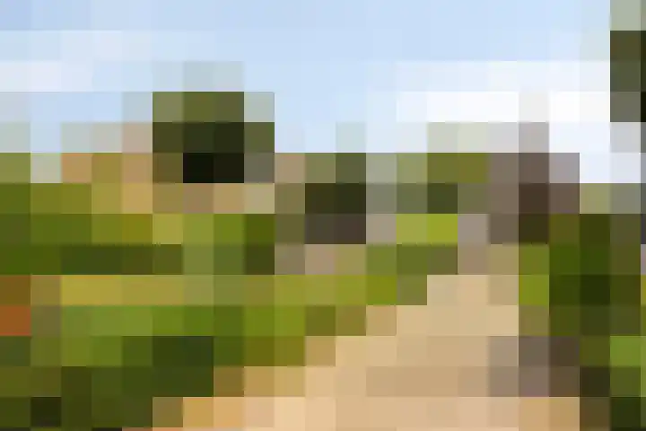 Heer de Swaeffstraat 3 Mierlo thumbnail 34