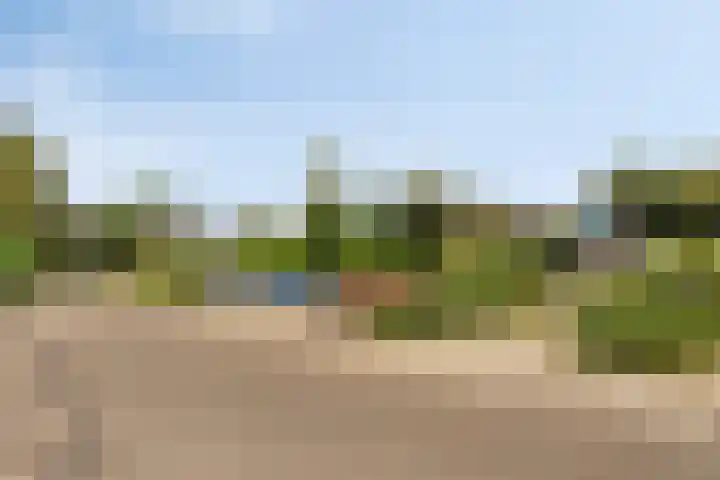Heer de Swaeffstraat 3 Mierlo thumbnail 35