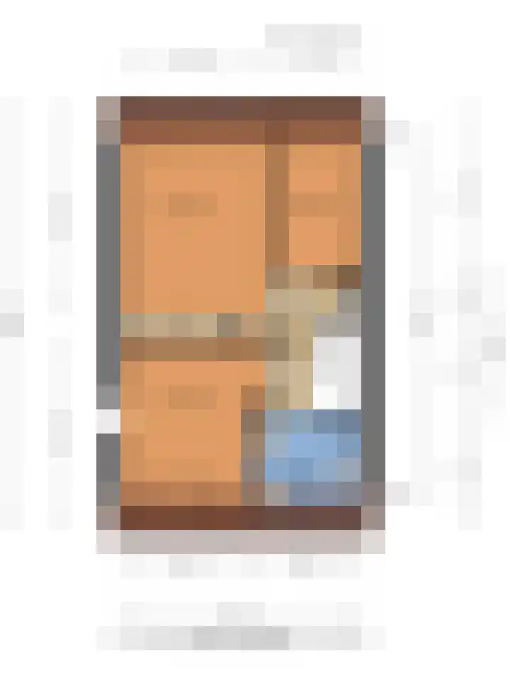 Heer de Swaeffstraat 3 Mierlo thumbnail 38