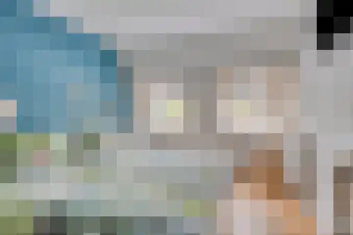 Heer de Swaeffstraat 3 Mierlo thumbnail 4