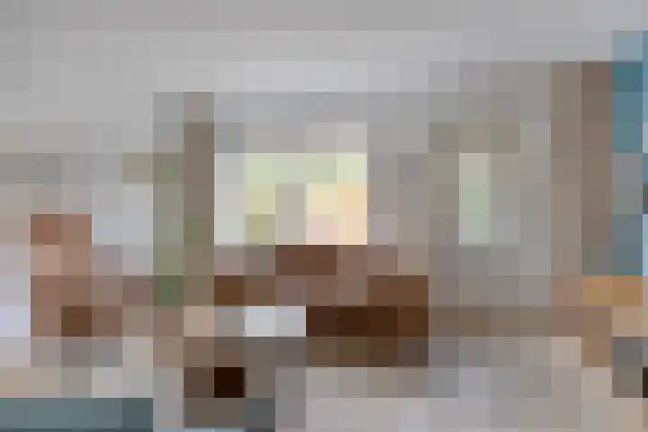 Heer de Swaeffstraat 3 Mierlo thumbnail 9