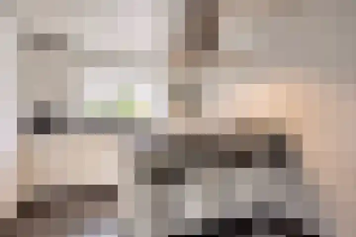 Heer de Swaeffstraat 5 Mierlo thumbnail 10