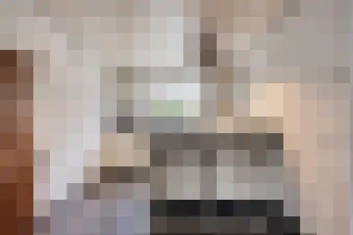 Heer de Swaeffstraat 5 Mierlo thumbnail 11