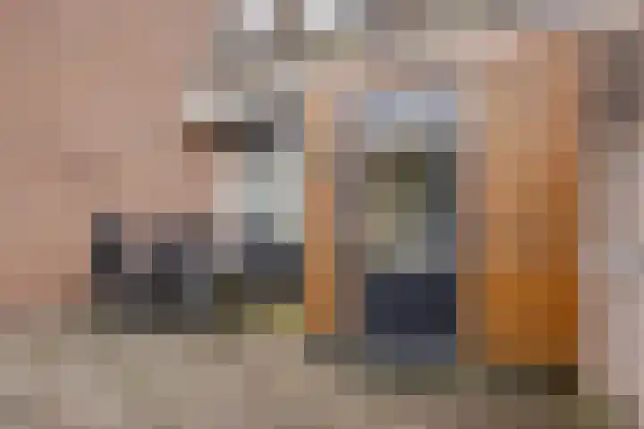 Heer de Swaeffstraat 5 Mierlo thumbnail 13