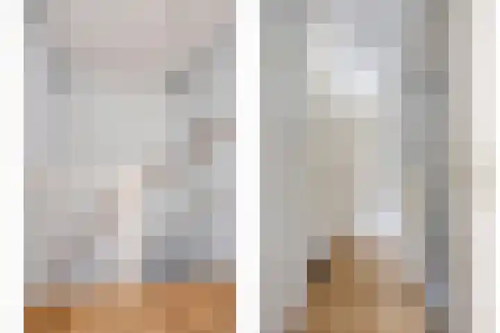 Heer de Swaeffstraat 5 Mierlo thumbnail 17