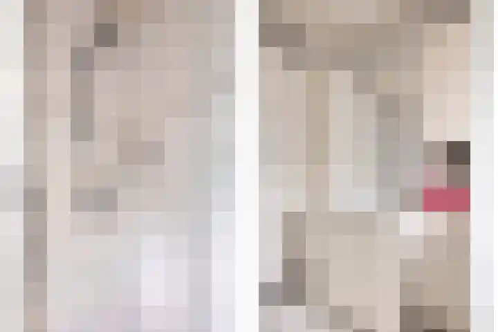 Heer de Swaeffstraat 5 Mierlo thumbnail 18