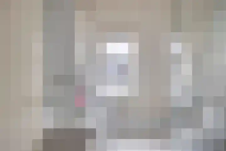 Heer de Swaeffstraat 5 Mierlo thumbnail 19