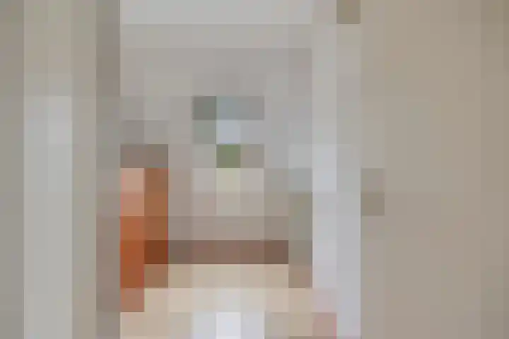 Heer de Swaeffstraat 5 Mierlo thumbnail 21