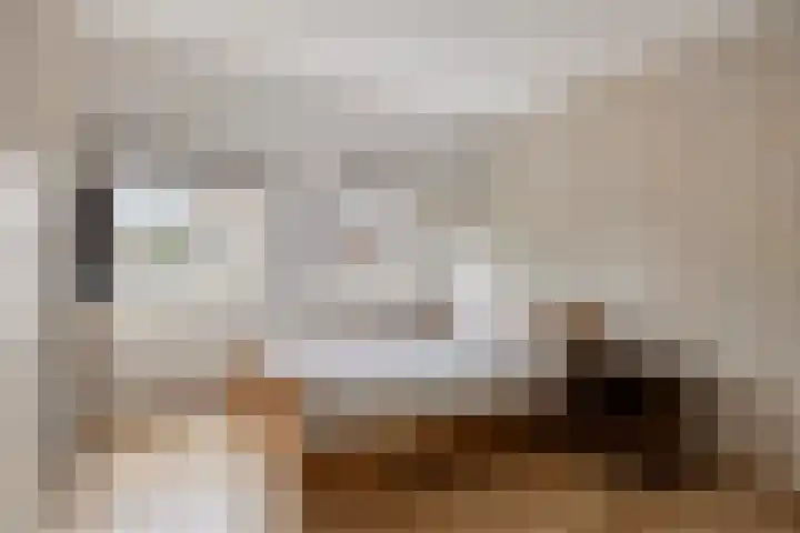 Heer de Swaeffstraat 5 Mierlo thumbnail 22