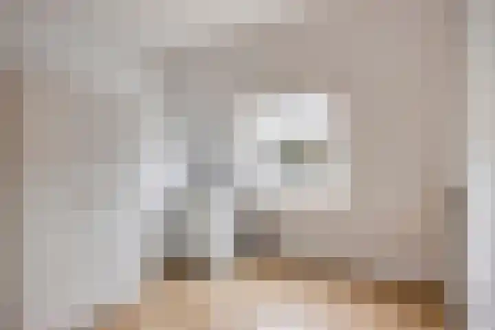 Heer de Swaeffstraat 5 Mierlo thumbnail 24