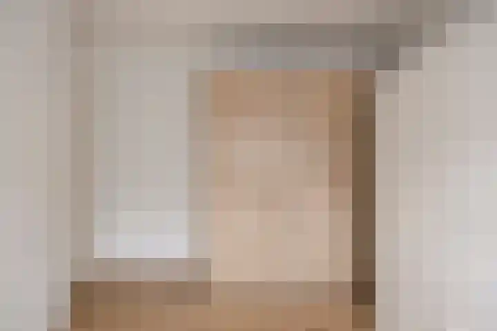 Heer de Swaeffstraat 5 Mierlo thumbnail 25