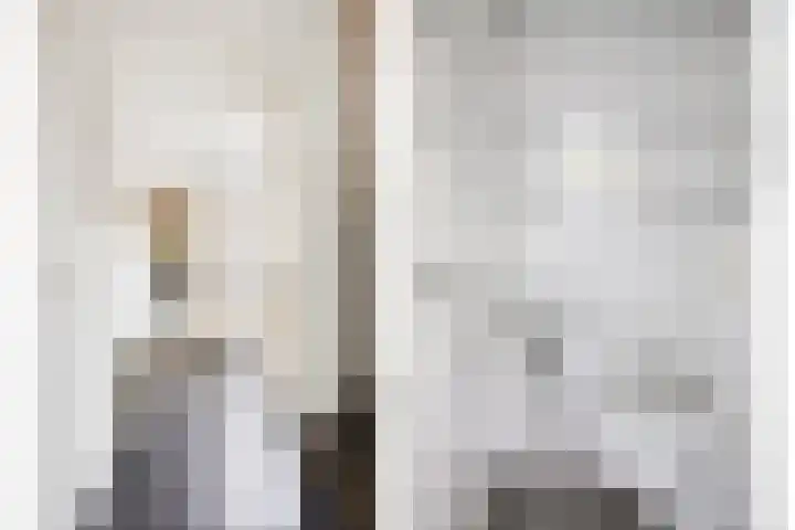 Heer de Swaeffstraat 5 Mierlo thumbnail 4