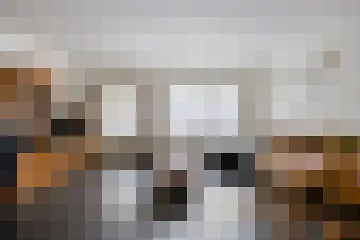 Heer de Swaeffstraat 5 Mierlo thumbnail 5