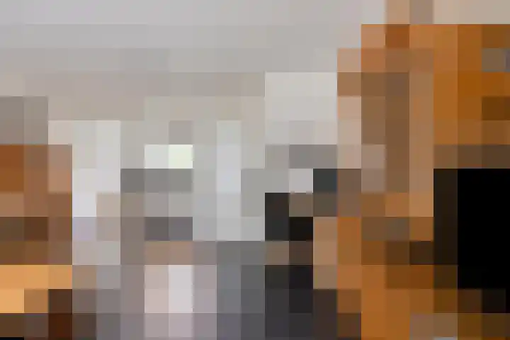 Heer de Swaeffstraat 5 Mierlo thumbnail 6