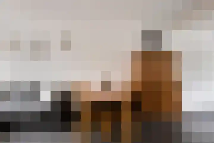 Heer de Swaeffstraat 5 Mierlo thumbnail 7