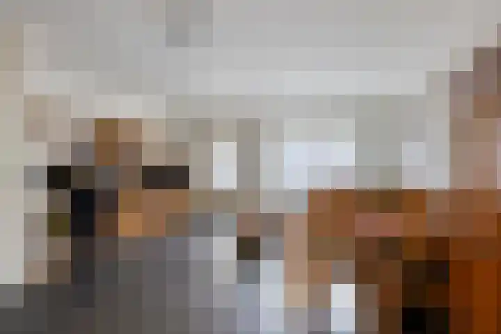 Heer de Swaeffstraat 5 Mierlo thumbnail 8
