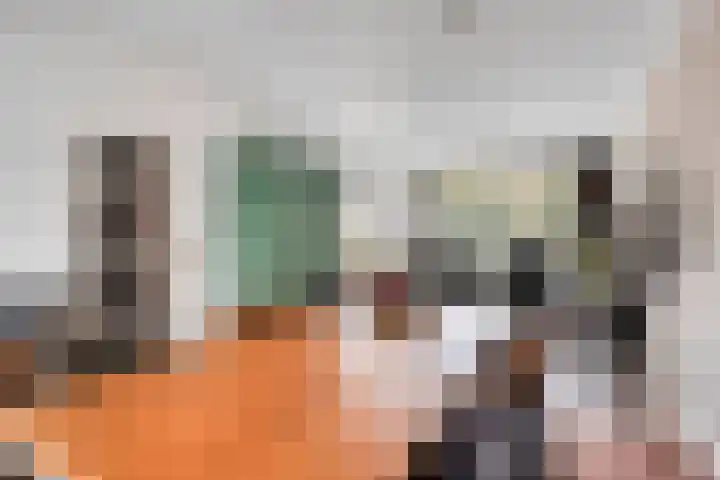 Heer Dickbierweg 22 Mierlo thumbnail 17